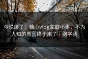 今晚爆了：糖心vlog家庭小事，不为人知的原因终于来了｜别学我