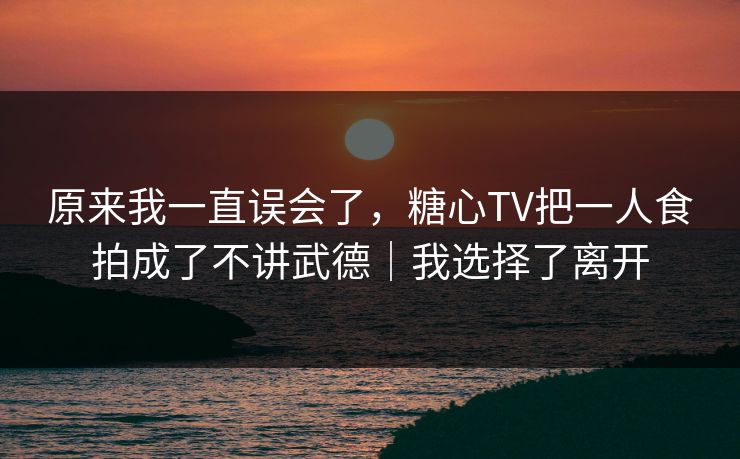 原来我一直误会了，糖心TV把一人食拍成了不讲武德｜我选择了离开